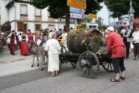 IMG_6450 (2) 